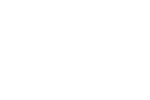 Logotipo de NSS