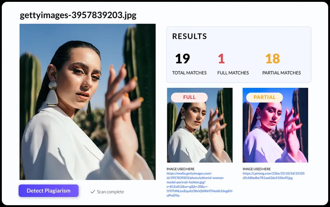 نتائج فحص انتحال الصور من موقع Copyleaks تُظهر التطابقات الكاملة والجزئية لصورة ممسوحة ضوئيًا.