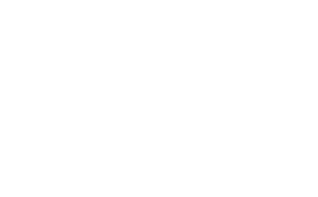 Logotipo de NSS