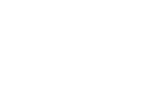 NSS logosu